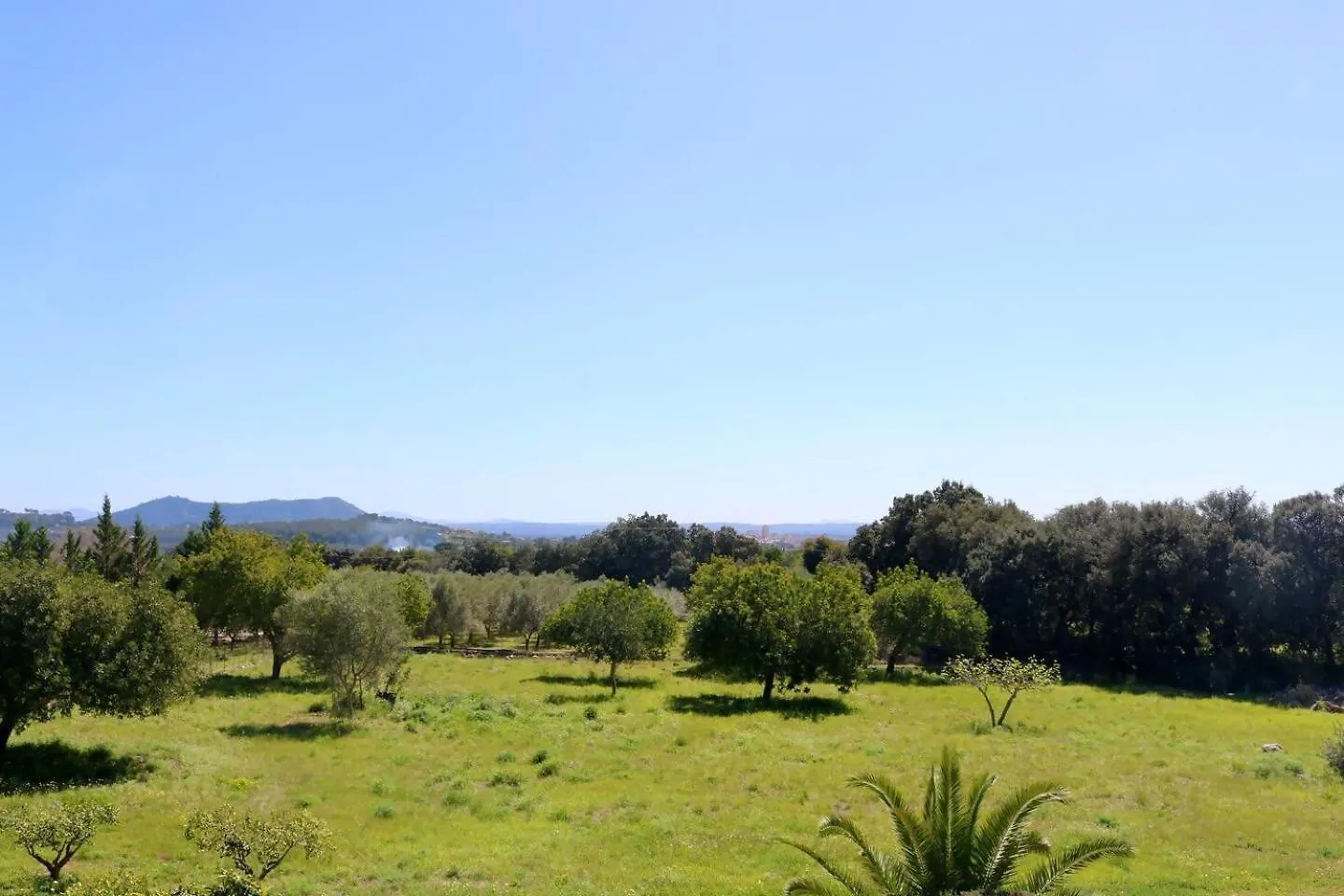 Ca'N Mutxo, Vistas Increibles, Piscina Y Barbacoa Βίλα Σέλβα